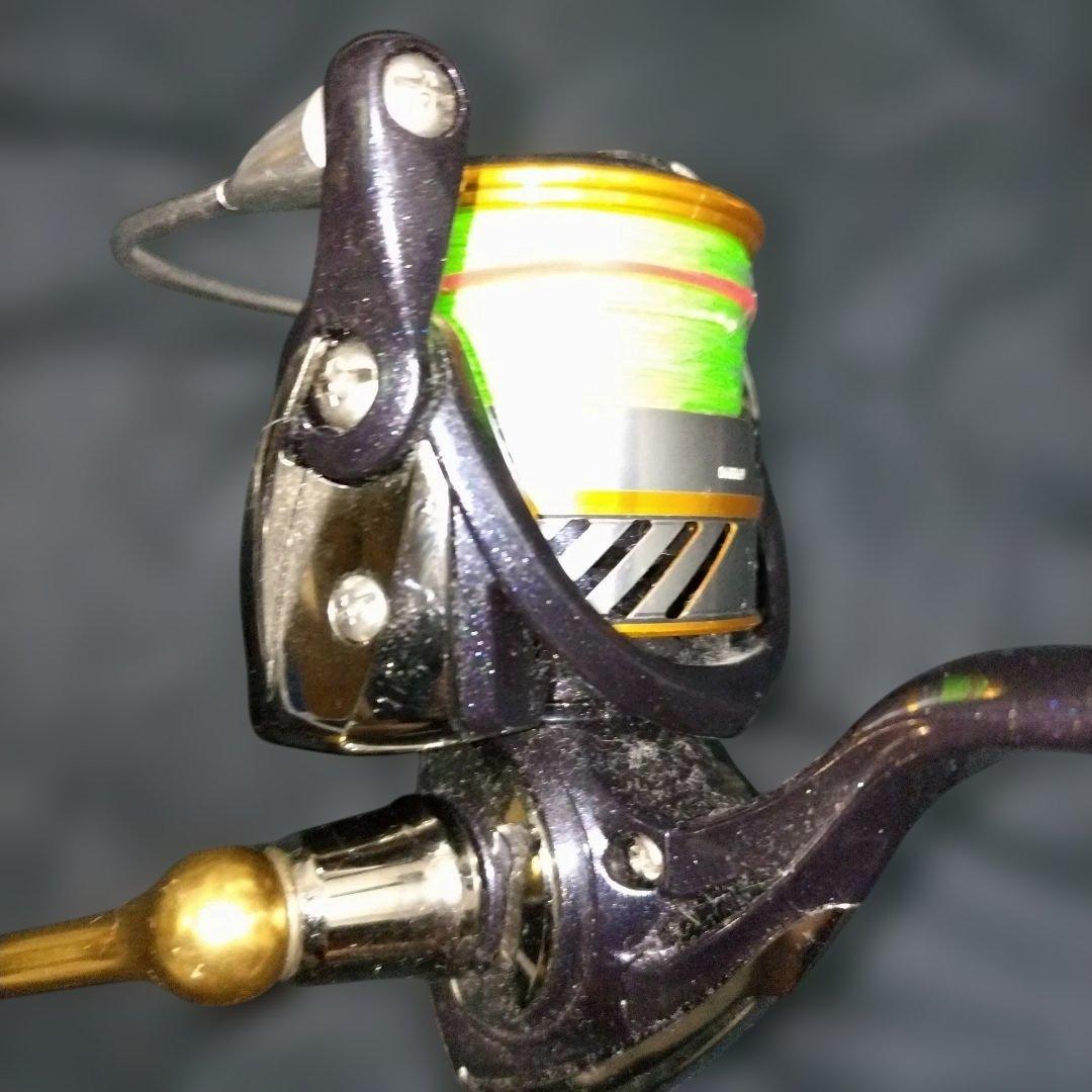 ダイワ Daiwa 20 レブロス LT4000-CH