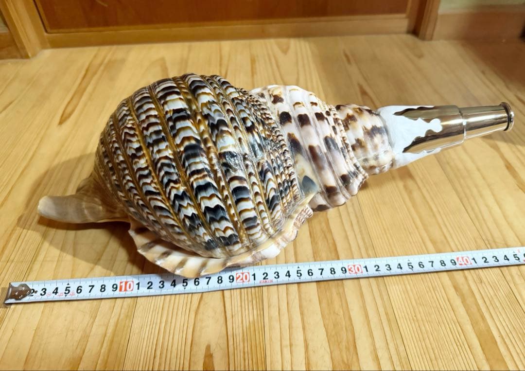 特大修験道法螺貝44㎝　山伏　密教　魔除け　熊よけ❣️ホラガイ　ほら貝