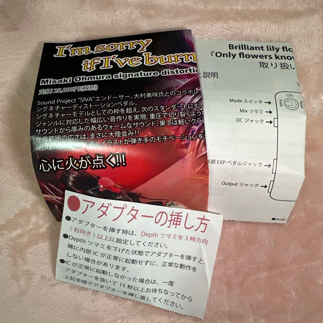 ギター Only flowers know our secret talk.