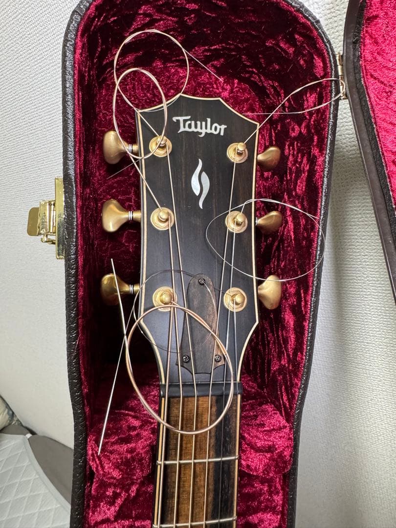 Taylor Builder’s Edition 816ce
