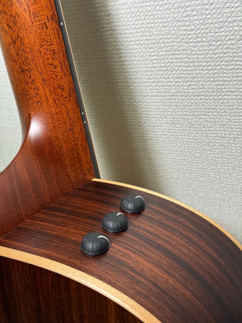 Taylor Builder’s Edition 816ce