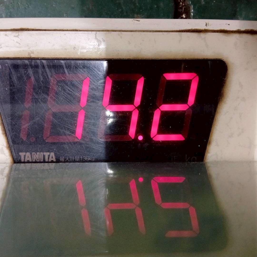 ⑫約256球➕①228球ダンロップ PRACTICE 中古硬式テニスボール