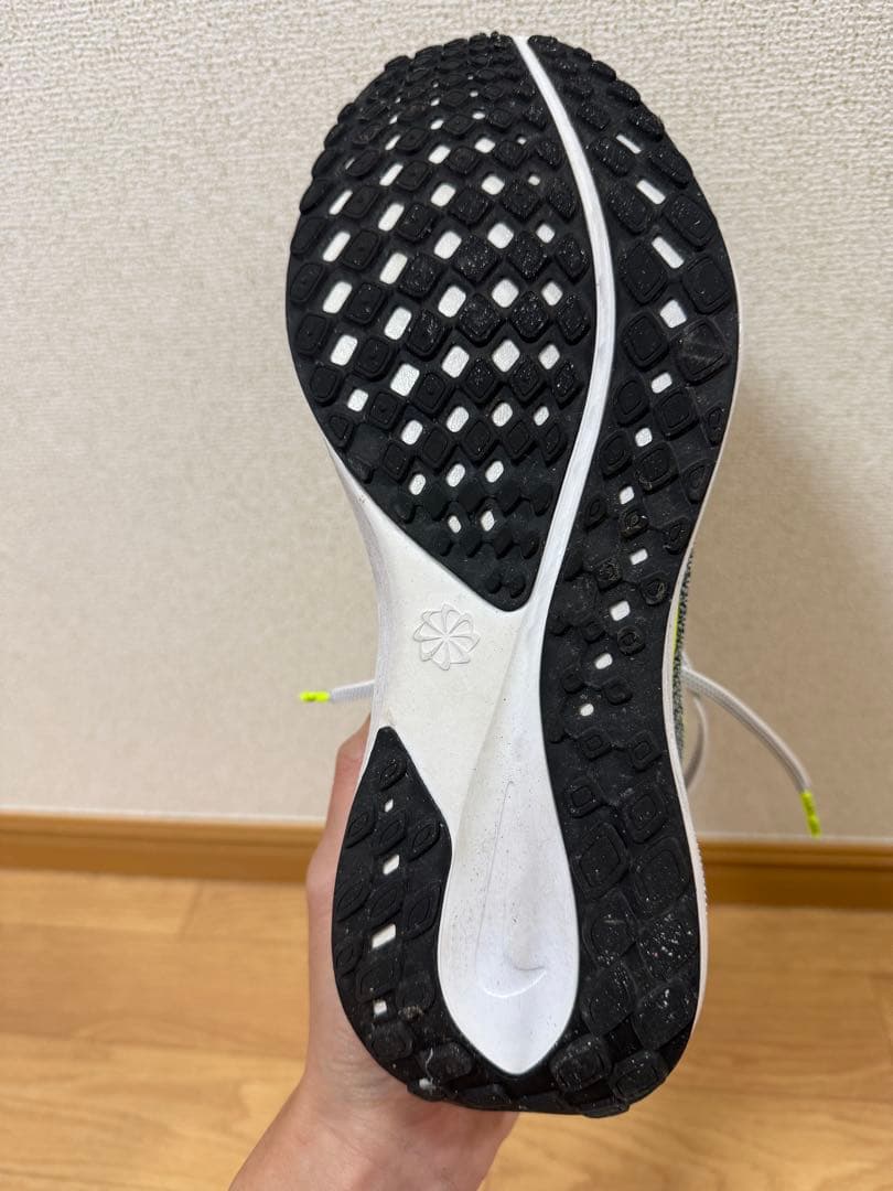 Nike ペガサス41 27cm