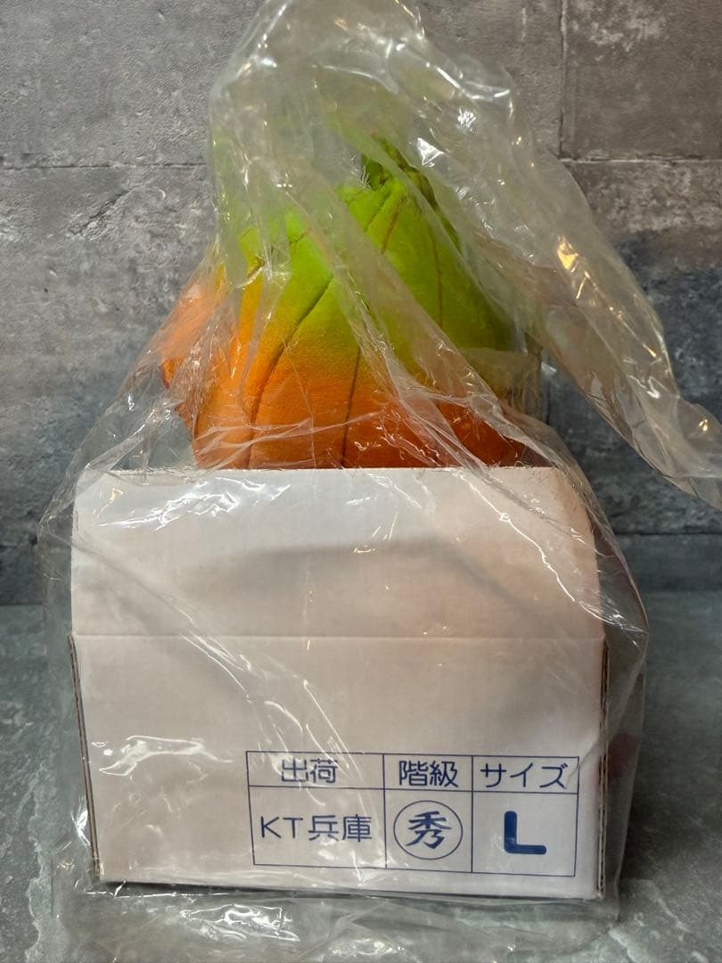 【平成レトロ】ハローキティ 淡路限定ぬいぐるみ