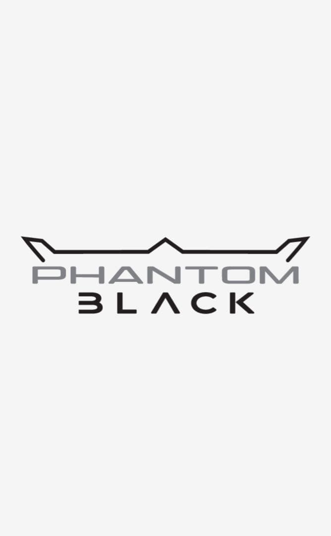 PHANTOM BLACK 5.5 パター ブラック