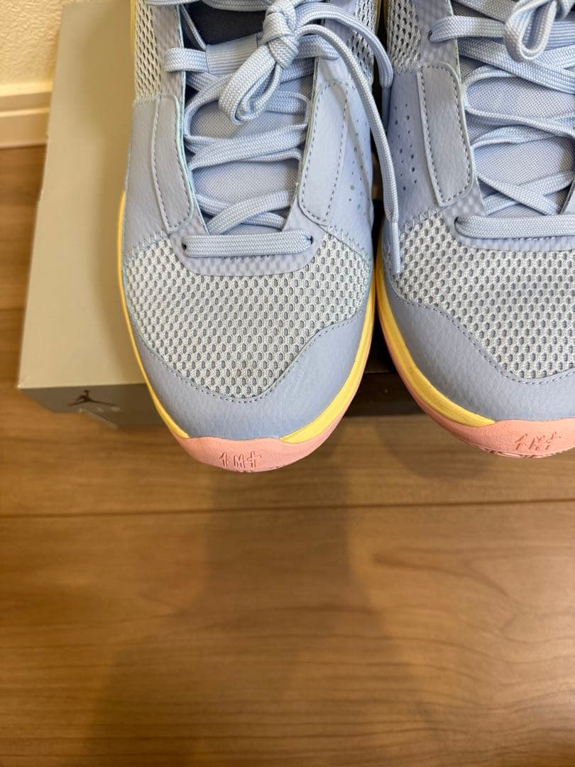 シューズ(男性用) NIKE ja1 day one