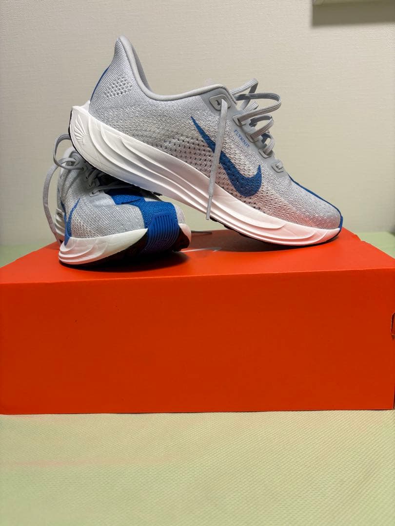 最終値下げ‼️NIKE ペガサスプラス25.0cm
