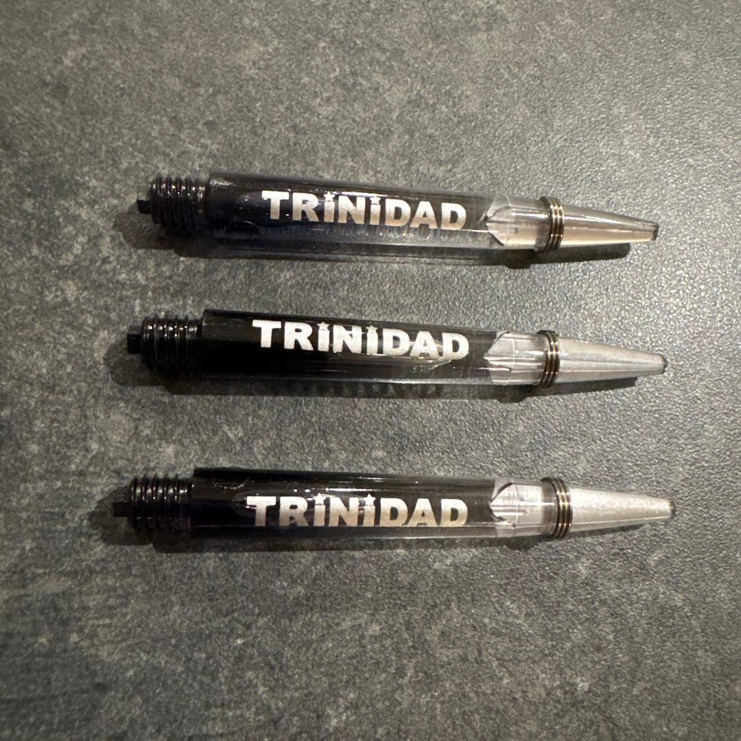 TRiNiDAD PRO Saldivar4 中西永吉 選手 ハード ダーツ