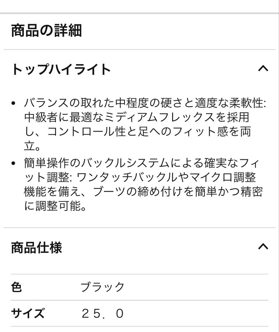 REXAM REX-A5 ブラック スキー靴　メンズ