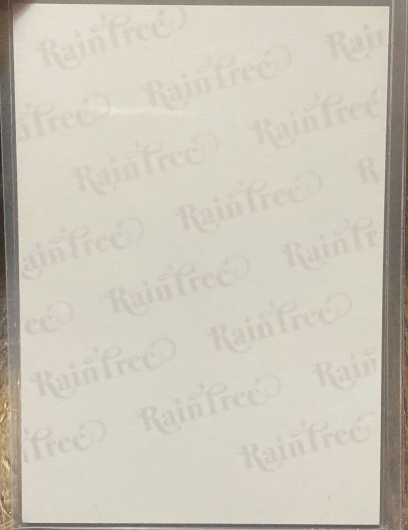 生写真 直筆 Rain Tree レインツリー 綾瀬ことり ヨリ セーラー