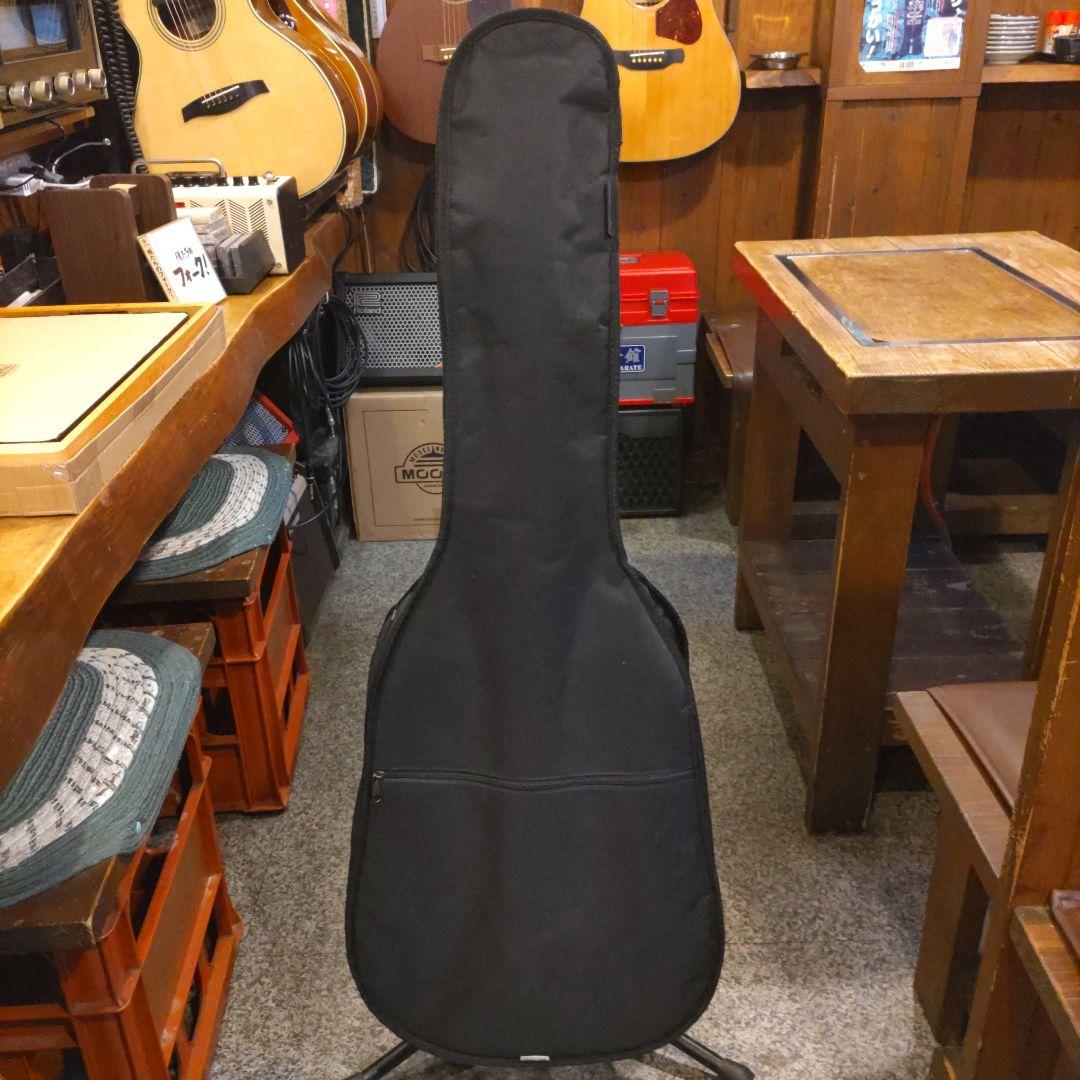 Fender CF-60 (管理サナ)