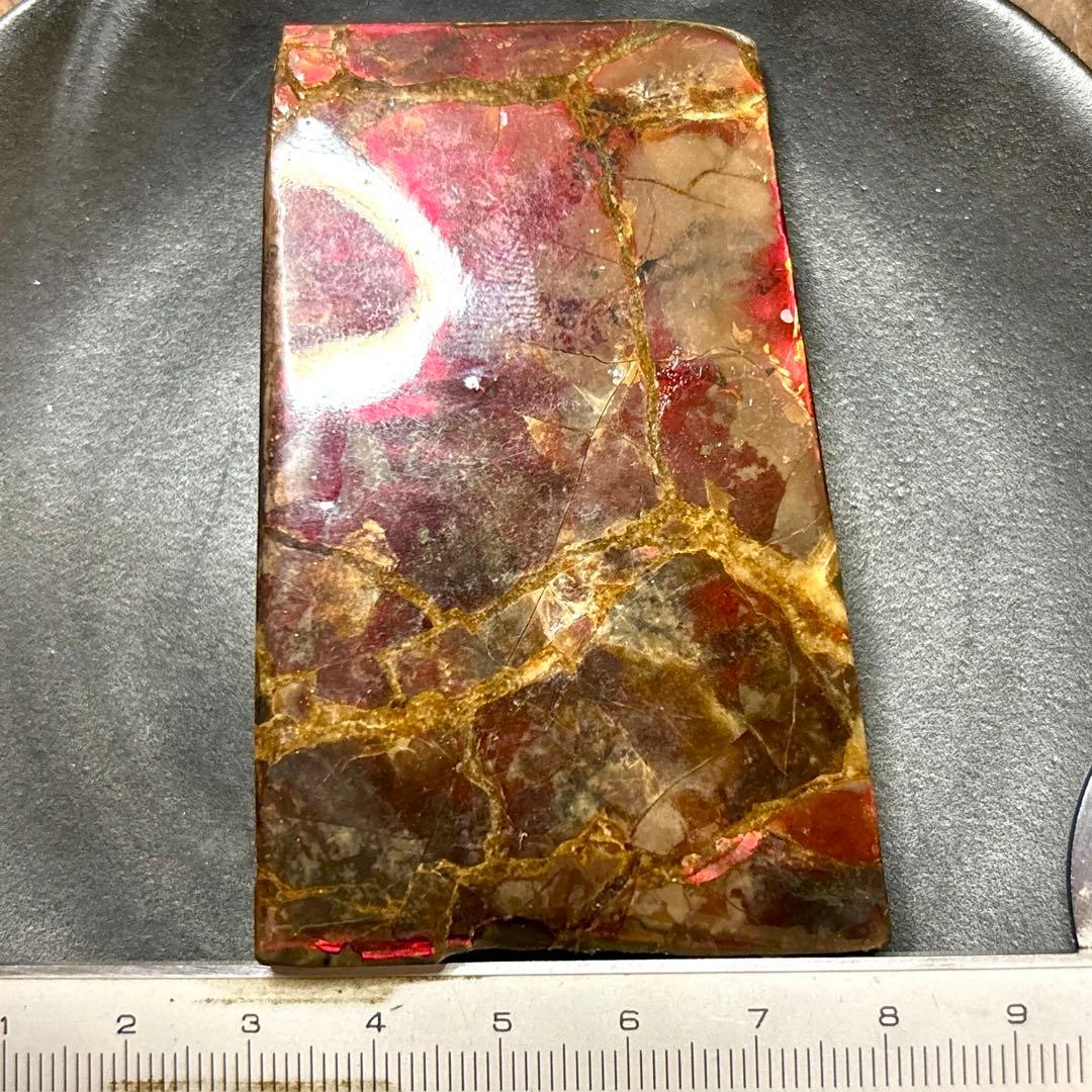 580ct カナダ産 アンモライト 樹脂スタビライズ加工 天然宝石 化石 標本