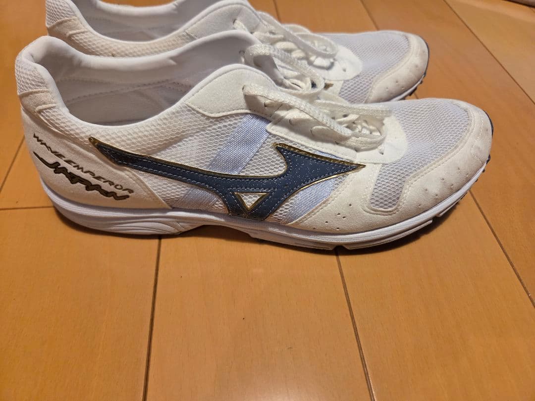MIZUNO ウェーブエンペラージャパン 25.0cm