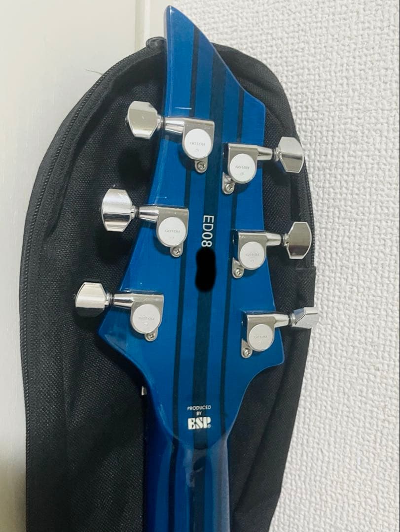 Edwards forest E-FR-130GT フォレスト ケース付 ESP