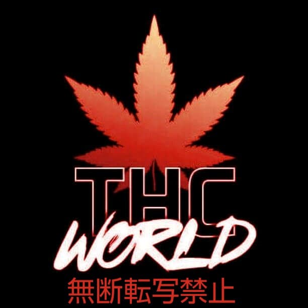 THC WORLD／DEATH NYC ザ・シンプソンズ　アートポスター　①