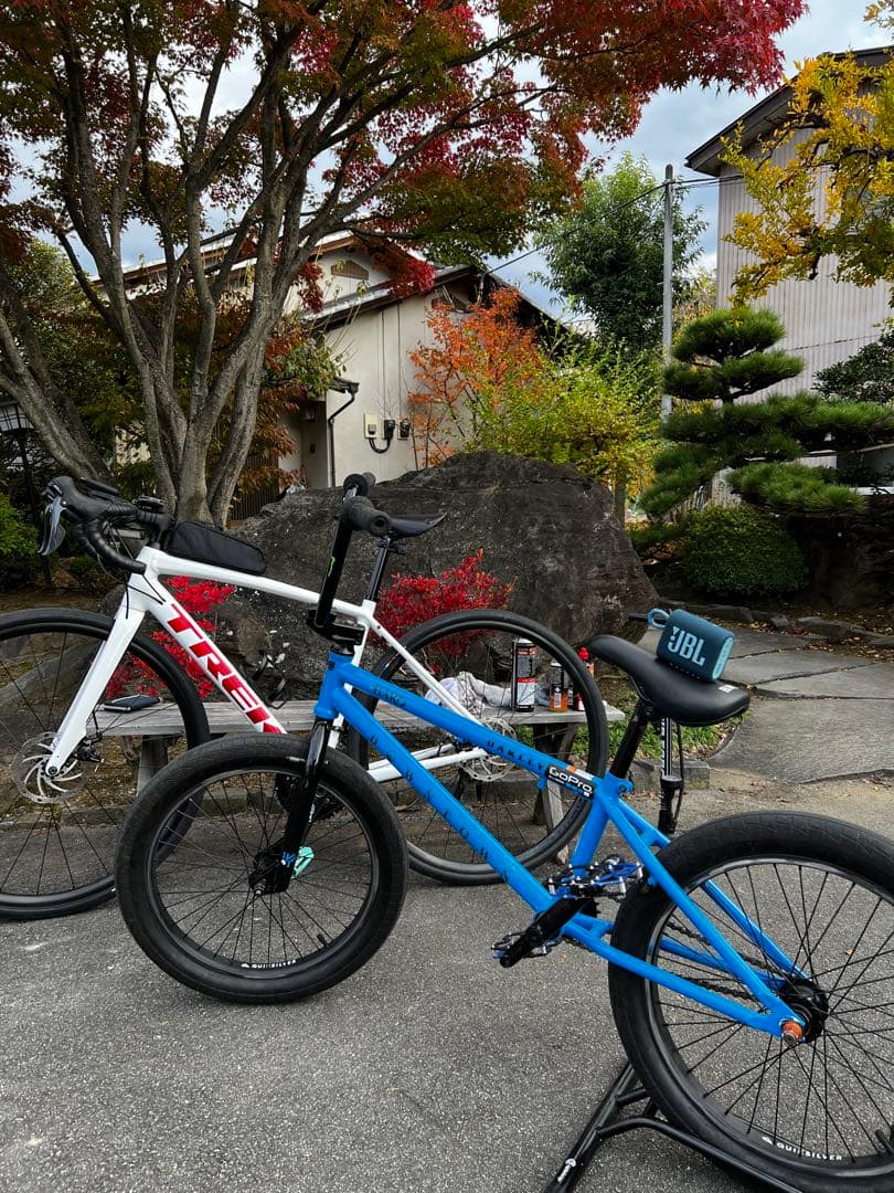 HARO BMX downtown DLX 20インチ　ストリート