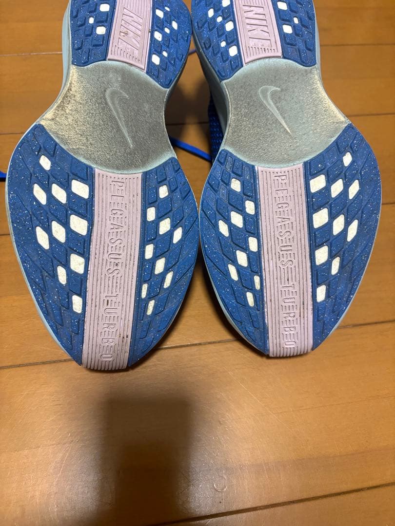 NIKEペガサスプラス 25センチ