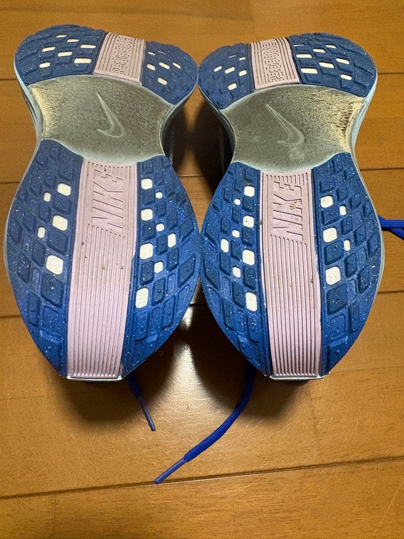 NIKEペガサスプラス 25センチ