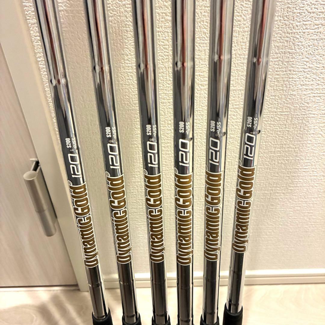 TaylorMade P790（2019）アイアンセット 6本　5I〜PW