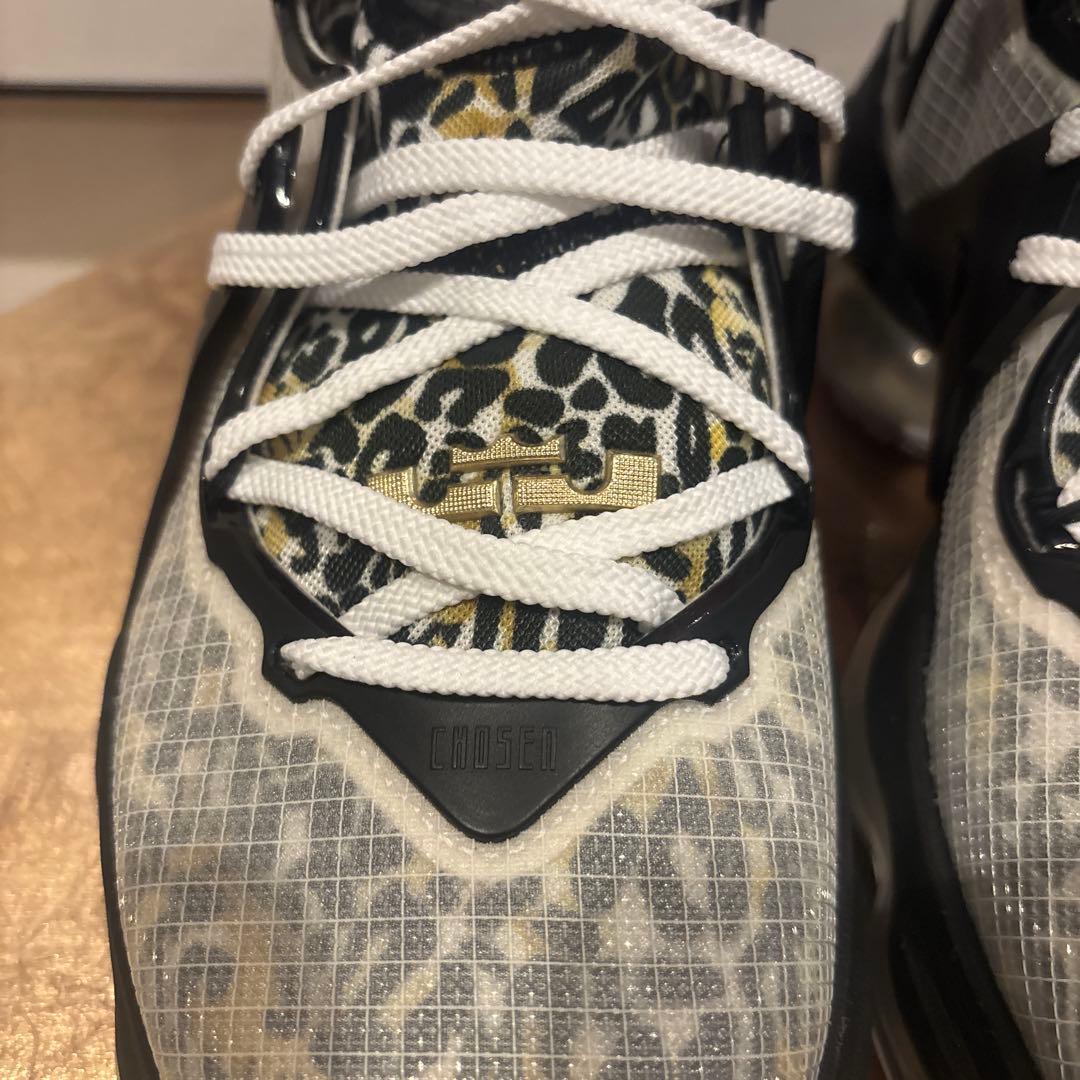 シューズ(男性用) Nike LeBron 26.5 cm