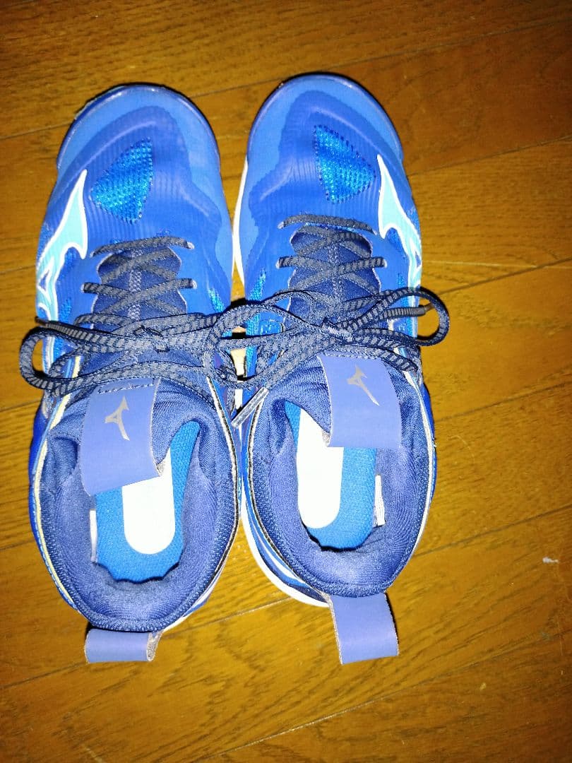 Mizuno バレーボールシューズ 青　24センチ　全日本女子