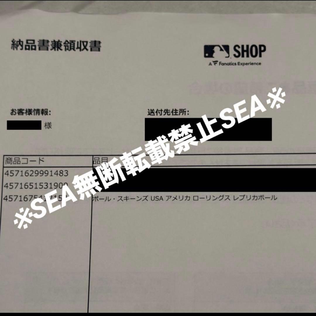 超激レア　WBC アメリカ代表 スキーンズ 記念ボール（No.28/30）即完売