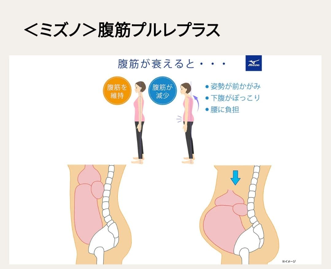 ミズノ 腹筋プルレプラス ブラウン