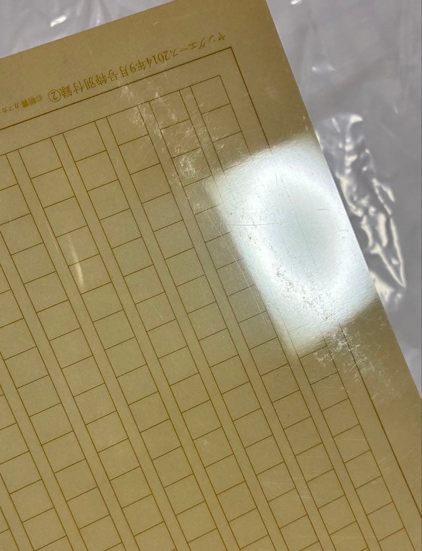 文豪ストレイドッグス 文スト ヤングエース 付録 下敷き クリアファイル 冊子