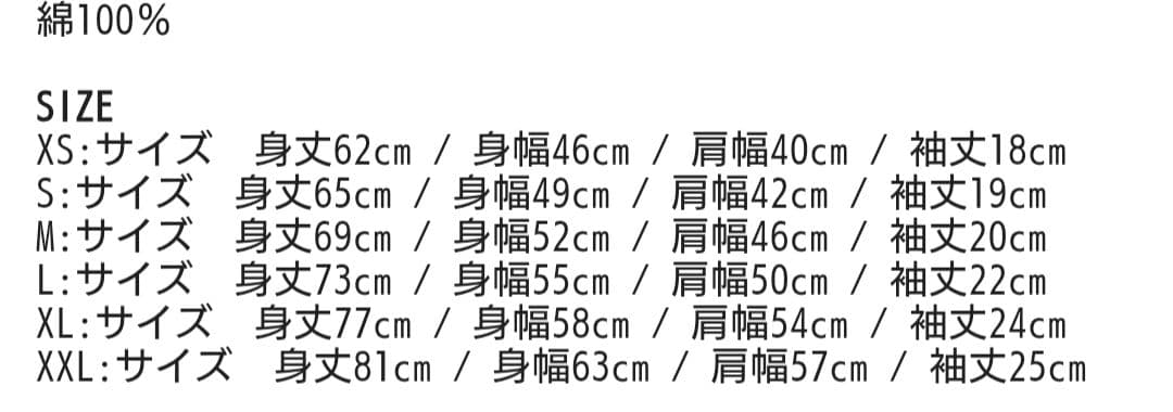 Hi-STANDARD XL Tシャツ2枚セット
