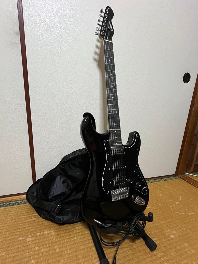【美品】SELDER ブラック エレキギター (ケース スタンド ケーブル付属)
