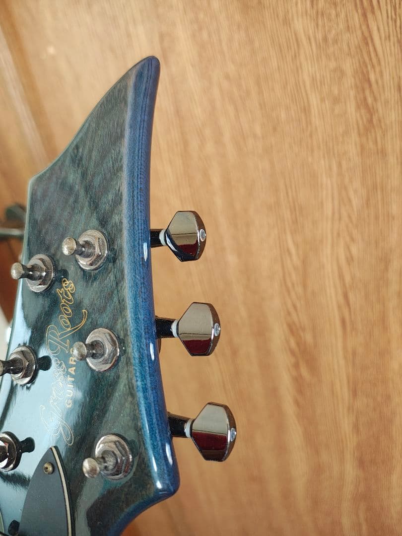 エレキギター フォレストGrass Roots by ESP G-FR-62GT