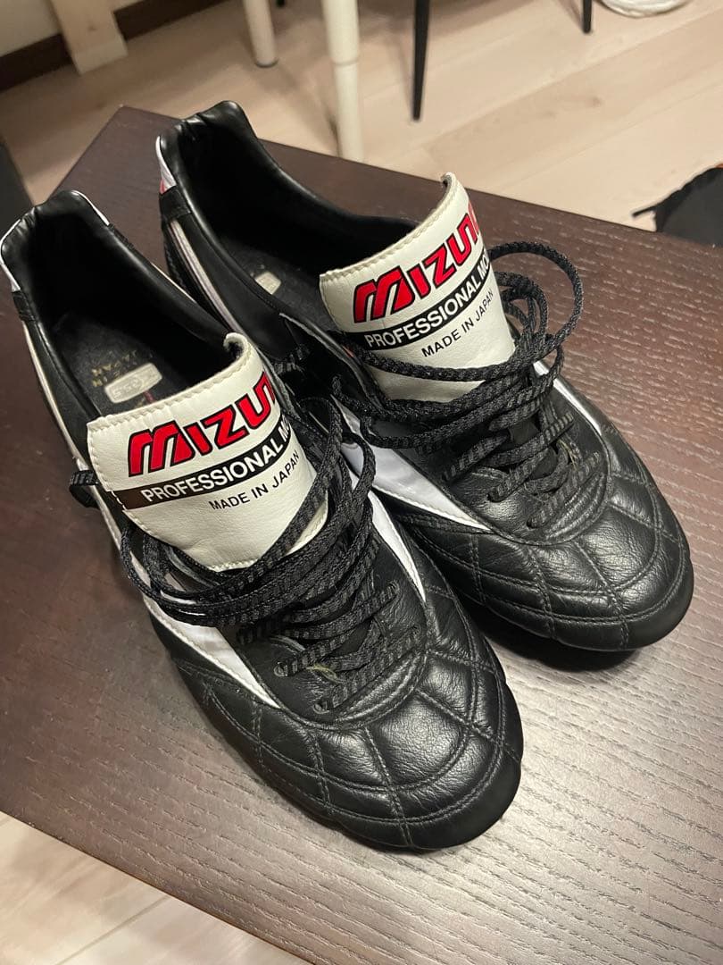 モレリア2クロスステッチ25.5センチ