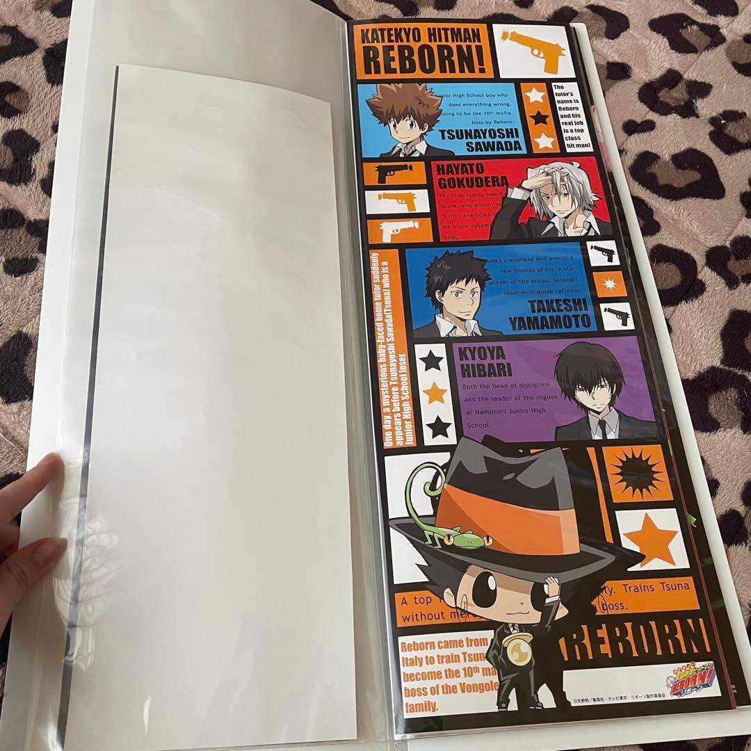 家庭教師ヒットマンREBORN! スティックポスター ファイル 獄寺隼人 山本武