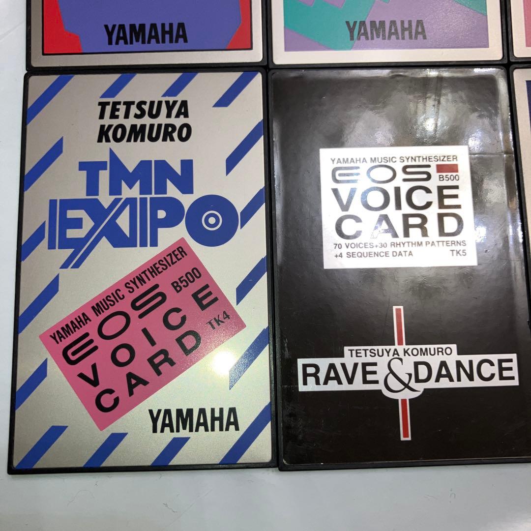 Yamaha EOS B500 Voice Card セット　小室哲哉　TMN