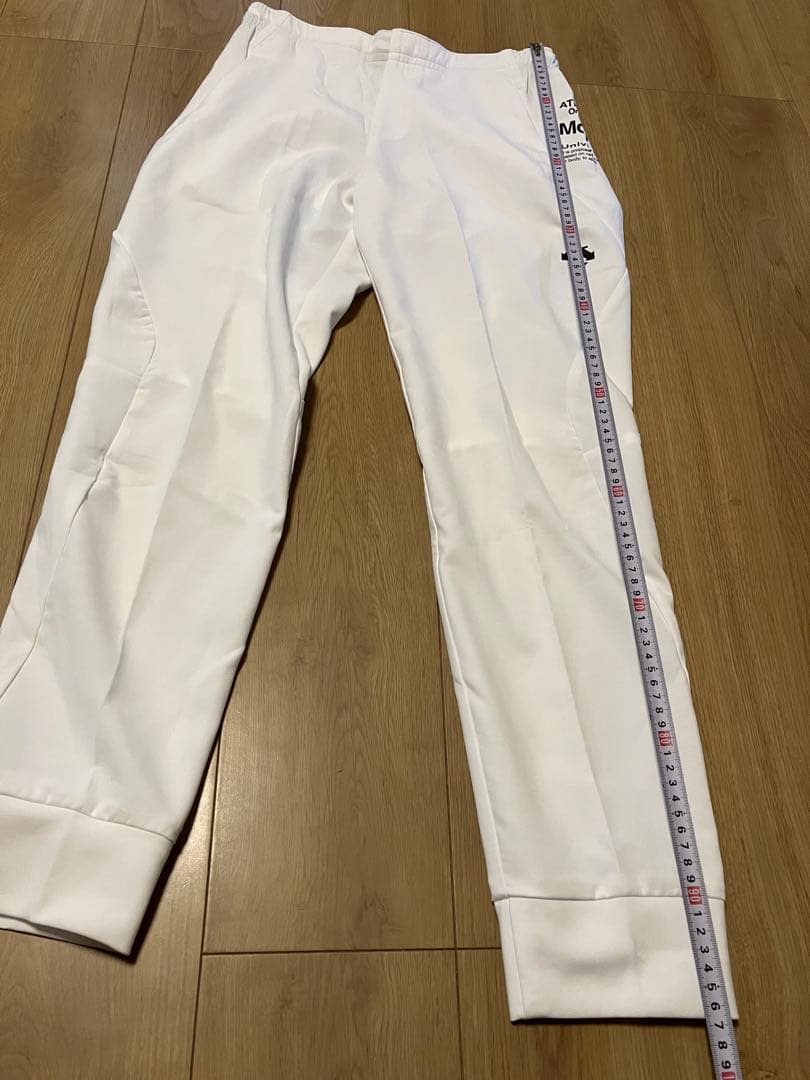 新品 未使用 デサント ムーブスポーツ パンツ 白 メンズ L トレーニング 春
