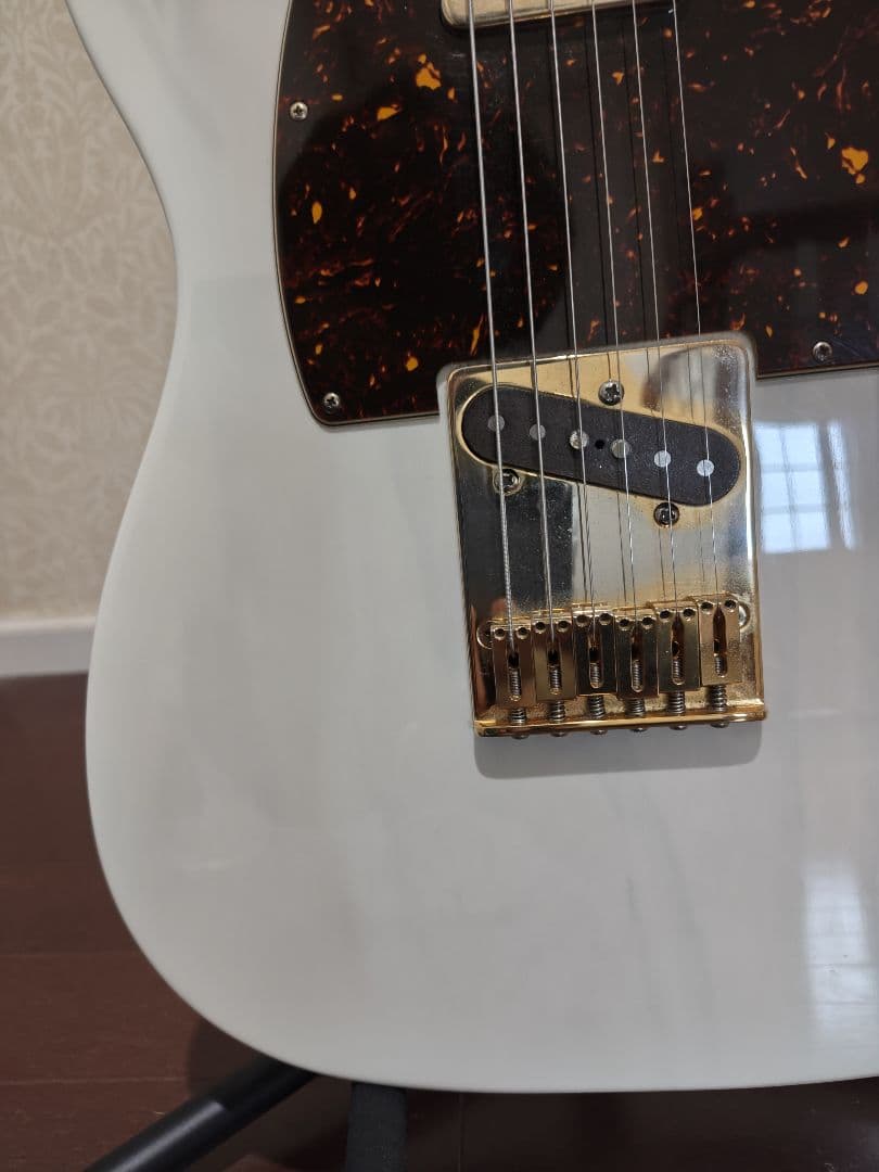 ギター Schecter Progauge Series PS-TL-N SWSB/R