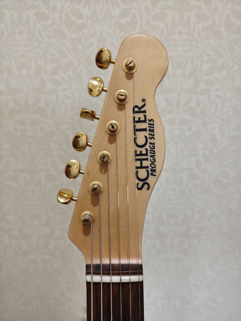 ギター Schecter Progauge Series PS-TL-N SWSB/R