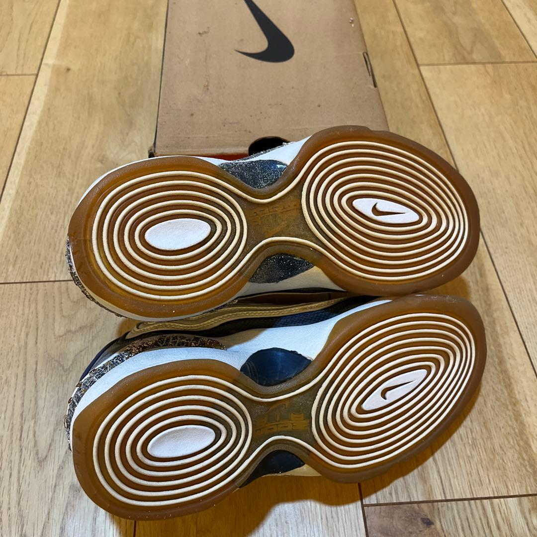【観賞用に】NIKE AIR ZOOM FLIGHT 96