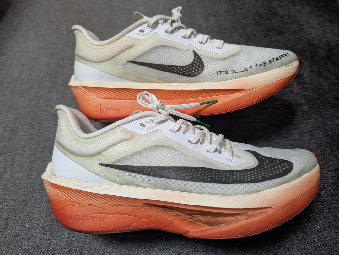 NIKE ズームフライ6 27.0cm Zoom Fly 6 EK
