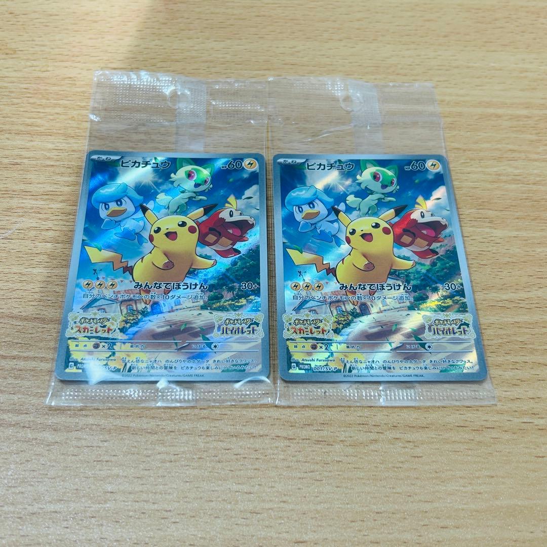 ポケモン　プロモカード　みんなでぼうけん