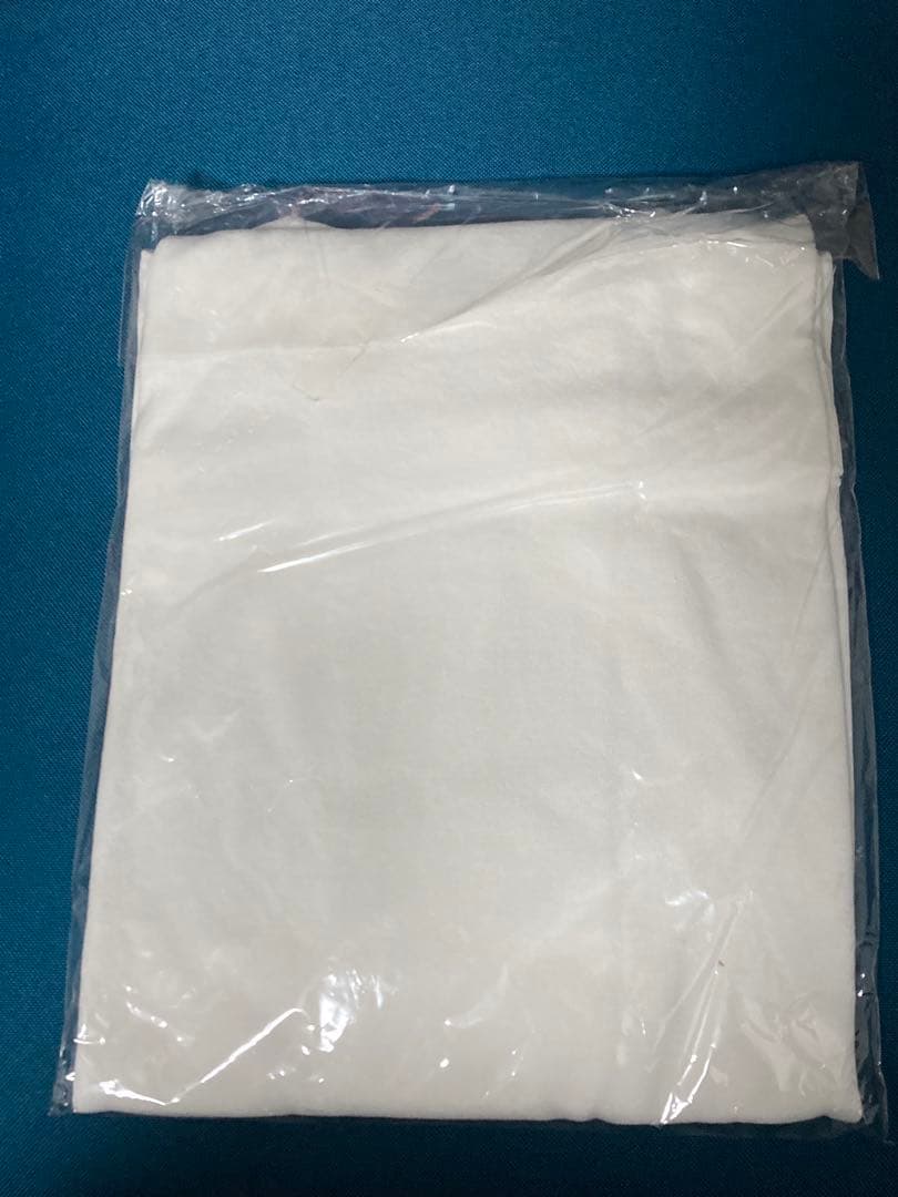 vistlip 智 Tシャツ the LYRE Tee WHITE M/L