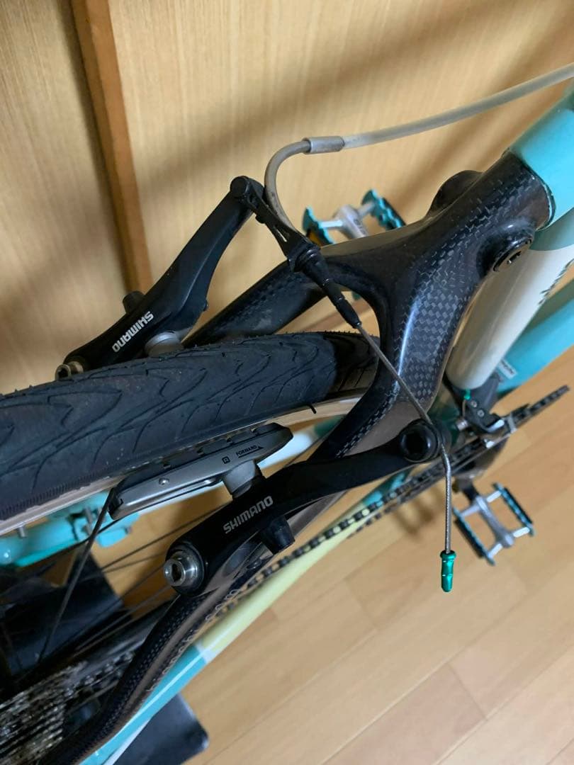タコ　BIANCHI ビアンキ カメレオンテ チェレステカラー