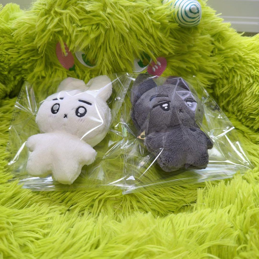 enhypen ソンフン　ジェイ　10cm ぬいぐるみ　新品　マスター