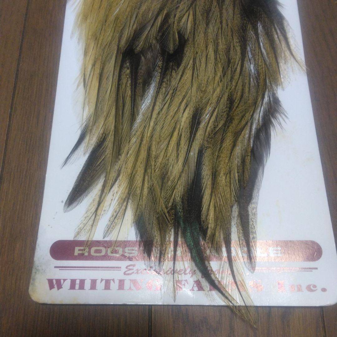 WHITING コックデレオン　未使用 ブロンズ　ROOSTER SADDLE