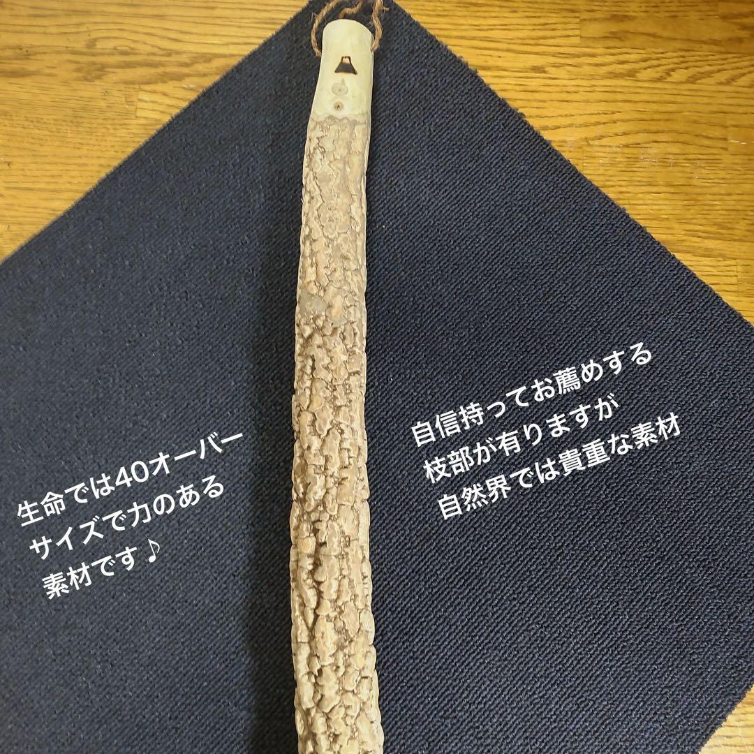 天然素材 本山椒/二度とお目に掛かれないでしょう、雌の最高品