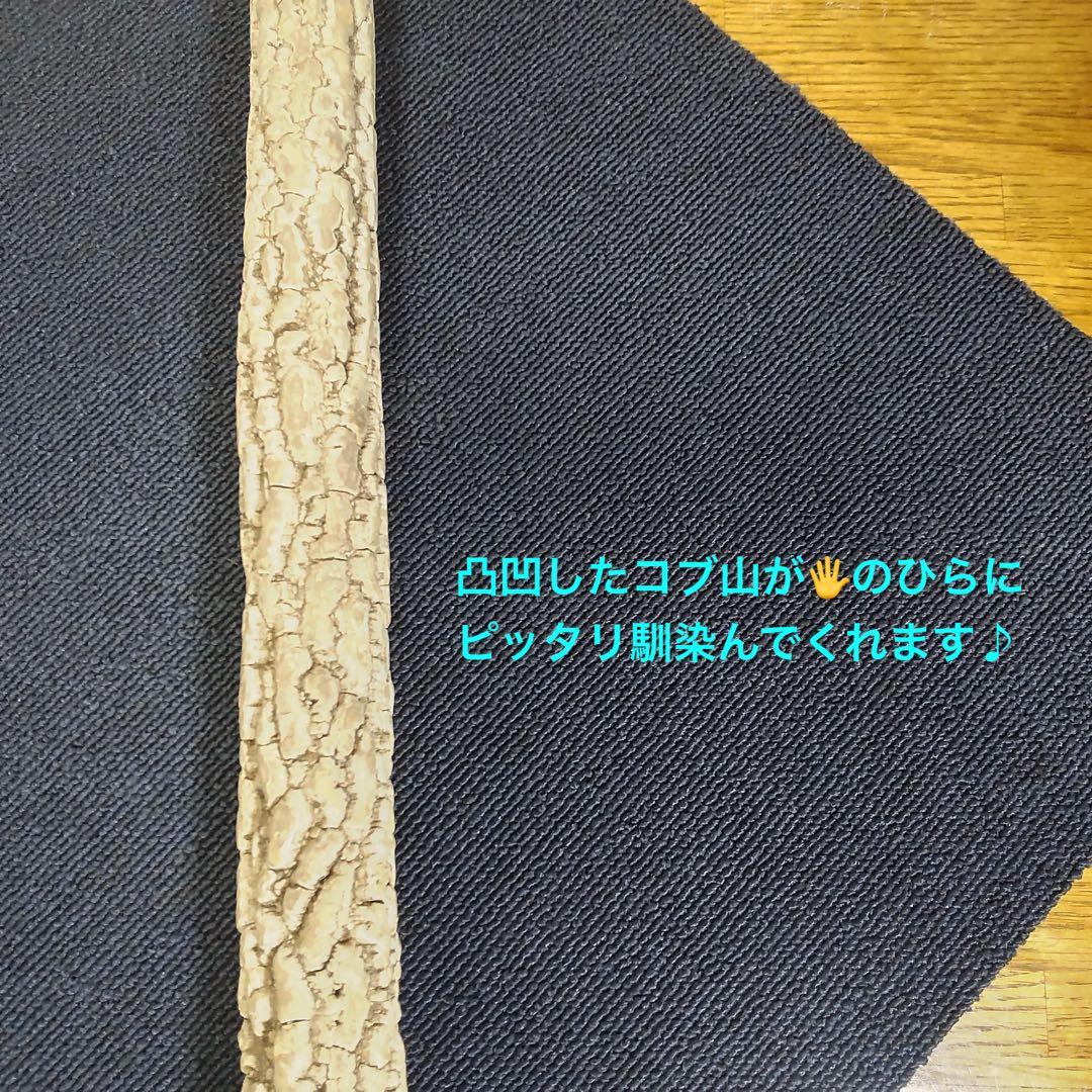 天然素材 本山椒/二度とお目に掛かれないでしょう、雌の最高品