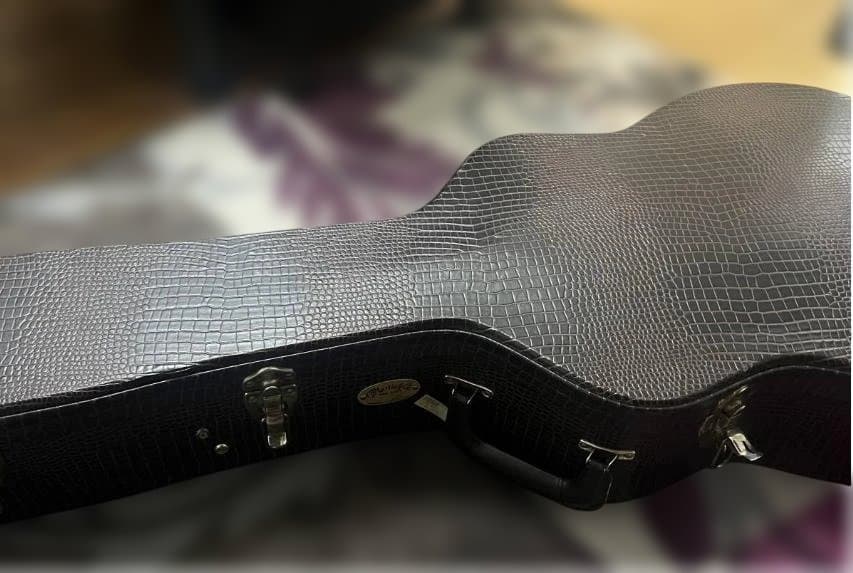 ⭐激レア⭐縦ロゴMartin GPC　PA1　Plus 2010製