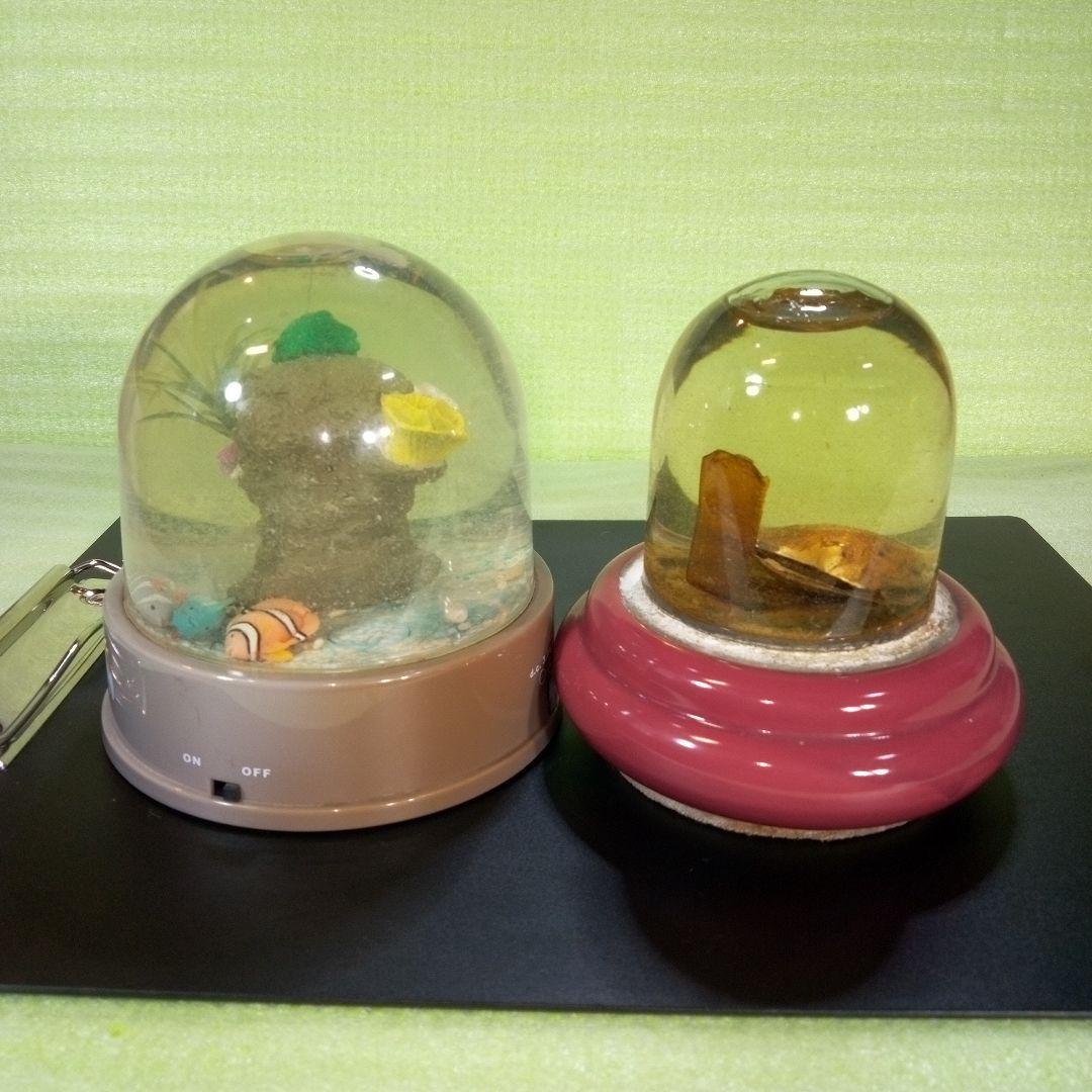 ①Dynamic Aquarium　②真珠貝　ガラスドーム　①②セット　おまとめ