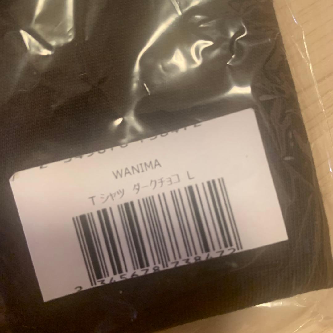 WANIMA ビルボード　アコースティックLIVE限定Tシャツ　Lサイズ
