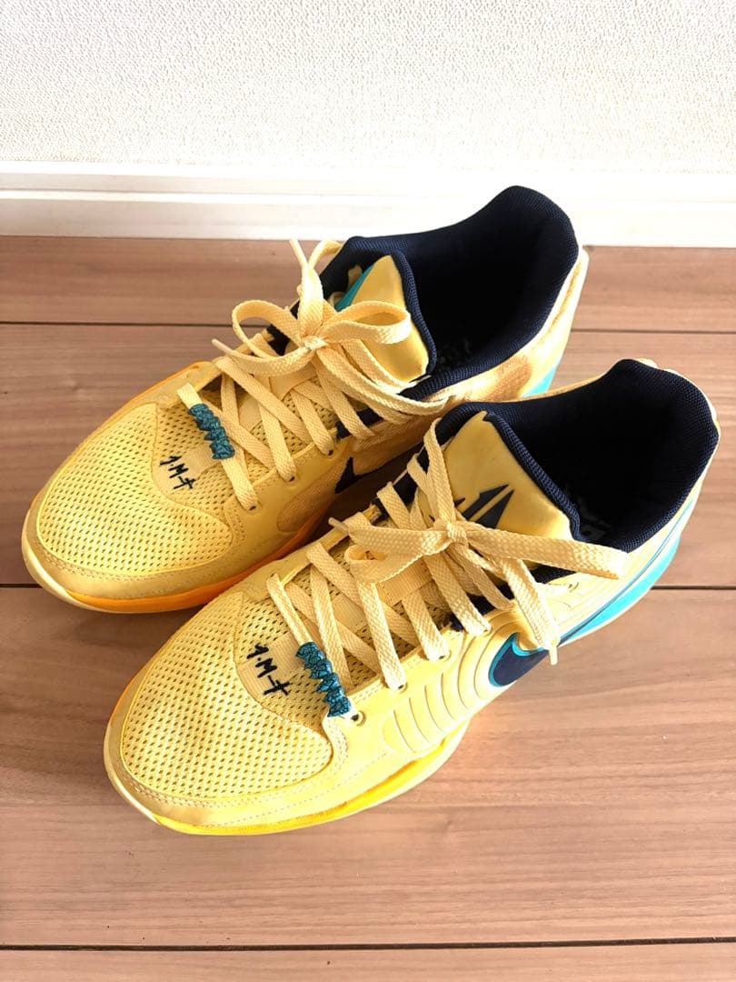本日限定値下げします！nike ja2